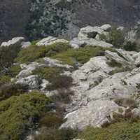 Photo de france - La randonnée du Mont Caroux